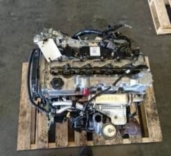 Ford Ranger TDCI 3.0 WEAT Engine for Sale