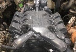 Mercedes Benz / Mercedes Re V6 Om501