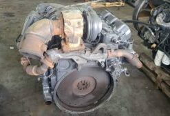 Mercedes V6 OM501 Engine for Sale